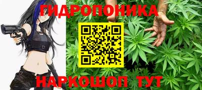 apvp Гай