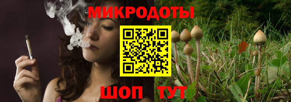 Сызрань  Галлюциногенные грибы мицелий  Галлюциногенные грибы GOLDEN TEACHER  Вход с VPN 